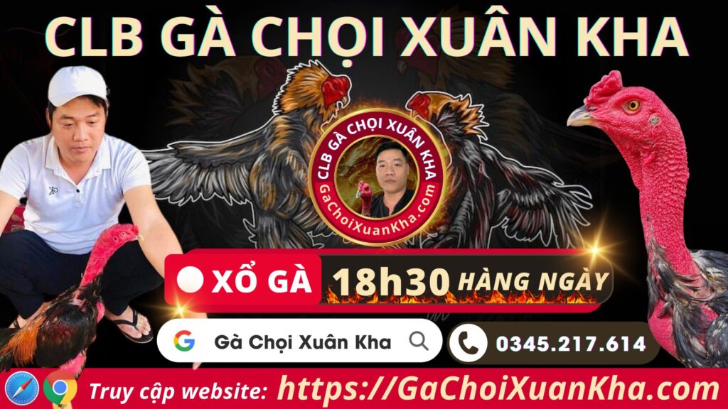 Video 19:57 ngày 9/9 – Gà Chọi Xuân Kha – Phú Yên