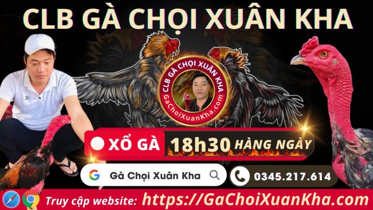 Video 19h58 ngày 1/10 – Gà Chọi Xuân Kha – Phú Yên